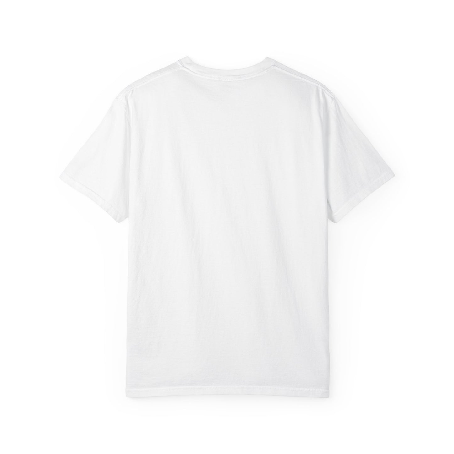 Addis Ababa Friendship T-Shirt | Unisex Garment-Dyed Tee for Friendship, Travel Lovers, Cultural Enthusiasts, Gift Idea