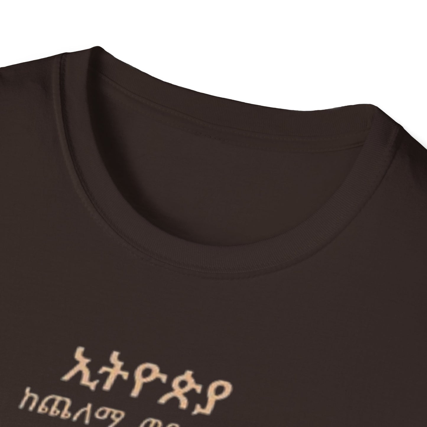 Ethiopia Future Softstyle T-Shirt